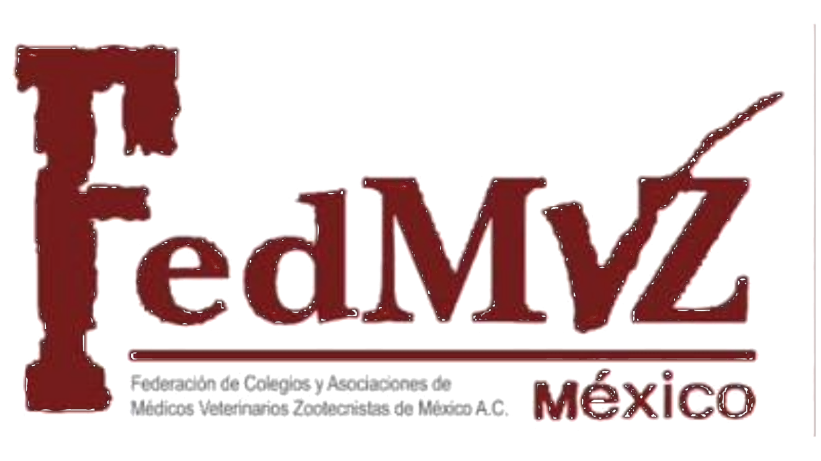Logo Federación de Colegios y Asociaciones de Médicos Veterinarios Zootecnistas de México A.C.